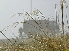 Хорошо бы собаку купить…