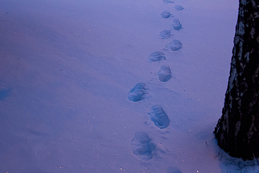 Сибиряк таинственно пропал после визита к бывшей жене