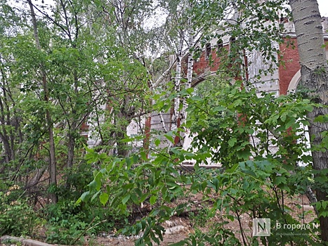 Деревья в сквере на улице Ковалихинской очистили от бетона