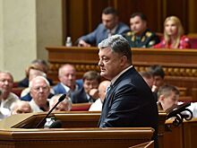 Порошенко распродаст свои земельные участки за 3 млн долларов