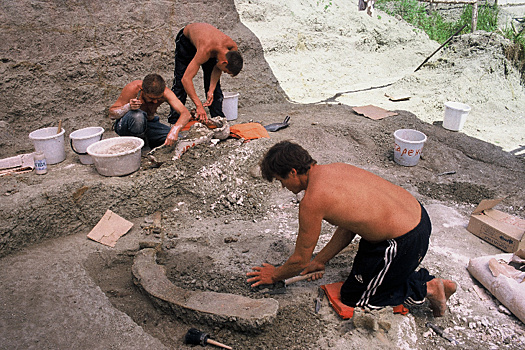Амурские динозавры вышли в интернет