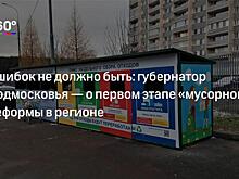 Минприроды назвало отстающие в реализации «мусорной» реформы регионы