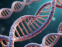 Российские ученые выявили новый механизм защиты клеток от вирусов и опухолей