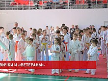 &laquo;Каратэ &ndash; это любовь&raquo;: в южной столице прошли соревнования &laquo;Кубка Дона&raquo; по контактному каратэ