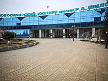 Мэр Новосибирска обозначил ключевые задачи развития зоологического парка
