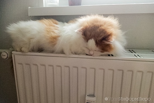 Названа дата начала отопительного сезона в Екатеринбурге