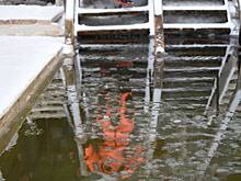 Роспотребнадзор Москвы проверил качество воды в 41 купели