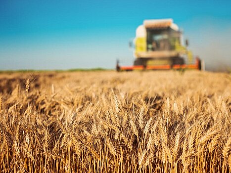 В Подмосковье передали почти 1500 Га земель для поддержки сельхозпроизводителей