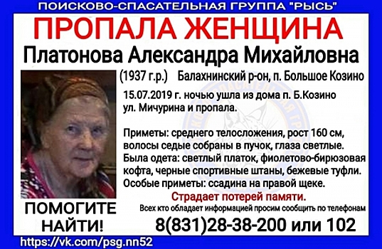 82-летняя Александра Платонова пропала в Нижегородской области