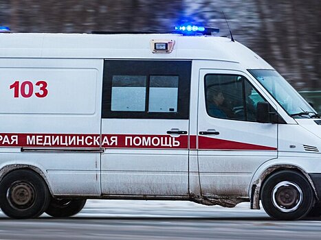 Во Владимирской области 20 человек обратились за медпомощью после ДТП