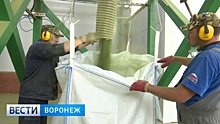 В Воронеже запущено производство премиальных кормов для животных