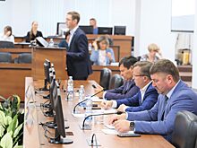 Депутаты обсудили вопросы содержания озелененных территорий в Нижнем Новгороде