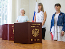 Паспорта РФ получили более 11,5 тыс. жителей освобожденных земель ДНР