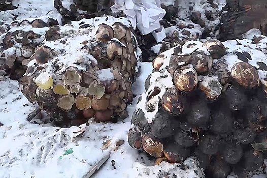РЭО: Организатору свалки куриных яиц в Омске грозит штраф до 400 тысяч рублей