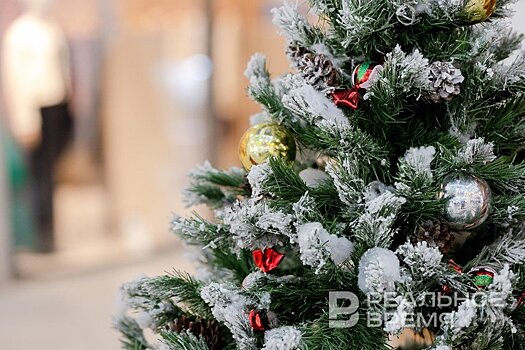 Метшин рад, что казанцы все меньше используют живые елки