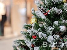 Метшин рад, что казанцы все меньше используют живые елки