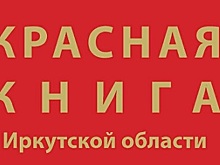 В Приангарье ведут комплексные обследования по выявлению редких видов растений и животных