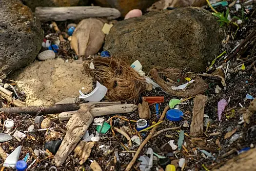 В Богатовском районе ликвидируют незаконную свалку