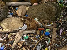 В Богатовском районе ликвидируют незаконную свалку