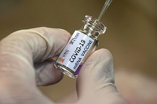 Российские ученые разрабатывают вакцину от коронавируса для кошек