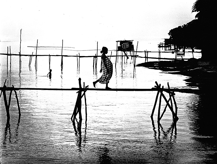 Он опубликовал 16 книг со своими работами и является одним из самых известных фотографов своего времени. На фото: Девушка пересекает мост. Папуа — Новая Гвинея, 1962 год