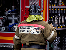 Природные пожары затронули в Рязанской области 6 тыс. га