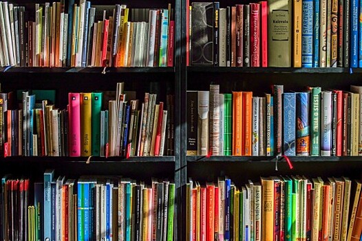 Библиотеки Юго-Запада представили подборку книг, которые помогут найти баланс и гармонию