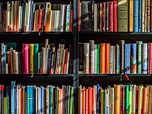 Соболихинская сельская библиотека в Балашихе: просветительские чтения «Просвещение через книгу»