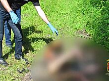 Калининградка сожгла своего сожителя под Полесском