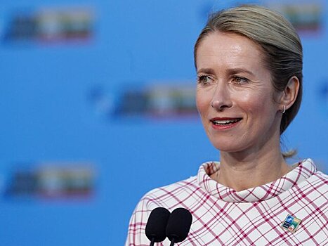Премьер-министр Эстонии заявила, что совершает политический суицид