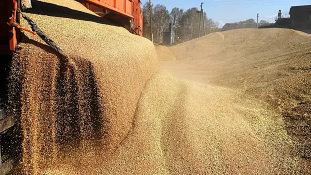 В Литве не выявили проблем с качеством российского зерна после ужесточения контроля