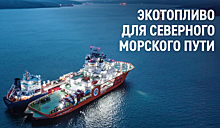 «Газпром нефть» намерена обеспечить экологичность и безопасность Северного морского пути. ВИДЕО