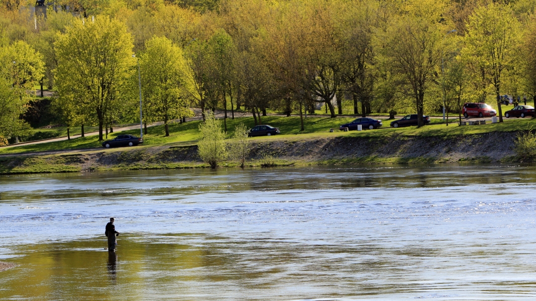 В Эстонии пожаловались на снятие Россией разграничительных буев на реке Нарве