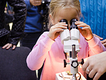 Научный Новый год готовятся отпраздновать в парке «Зарядье»