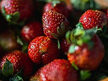 «Магнит» займется производством клубники и голубики