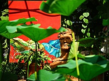 Давайте-ка все в сад!