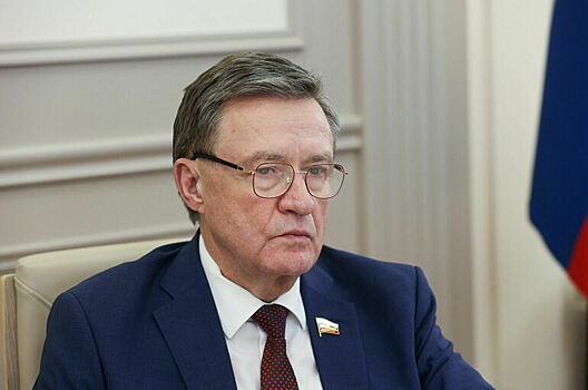 Сенатор Рябухин назвал приоритетом создание правовых условий для развития кадров