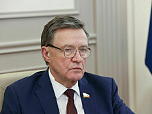 Сенатор Рябухин назвал приоритетом создание правовых условий для развития кадров