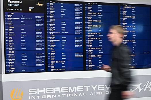 В Госдуме предложили запретить въезд в Россию одной категории иностранцев