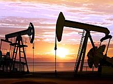 Россия и Иран согласовали разработку семи месторождений газа и нефти