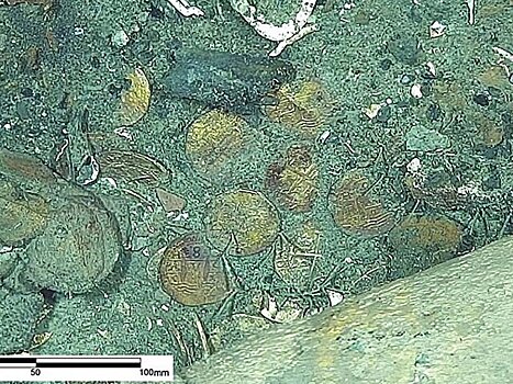 В Карибском море нашли сокровища затонувшего 300 лет назад галеона "Сан-Хосе"