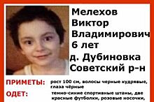 В Курской области продолжаются поиски пропавшего 7-летнего Вити Мелихова
