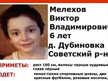 В Курской области продолжаются поиски пропавшего 7-летнего Вити Мелихова