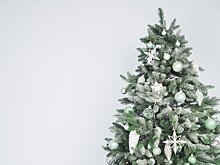 Купить новогоднюю елку можно на 170 официальных ярмарках Подмосковья