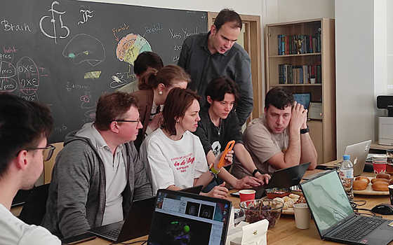 Ученые ВШЭ провели школу по трактографии