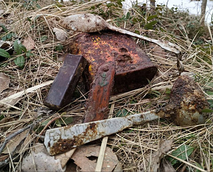 Под Санкт-Петербургом нашли останки солдата родом из Самарской области