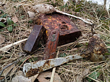 Под Санкт-Петербургом нашли останки солдата родом из Самарской области
