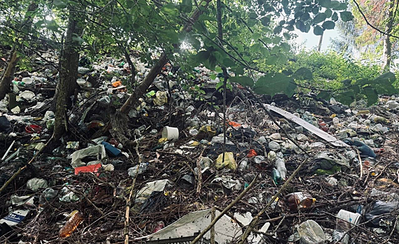 Со свалки в Гольянах уже вывезли почти 400 тонн мусора