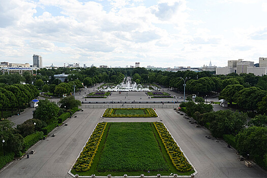 Как москвичи превращают город в сад