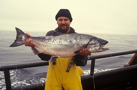 Рыбак выловил «монструозного» голубого сома и поставил рекорд